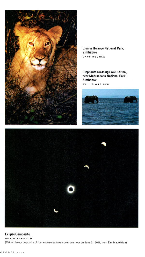 Greiner migrating elephants on Lake Kariba