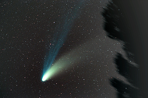 Comet Hale-Bopp