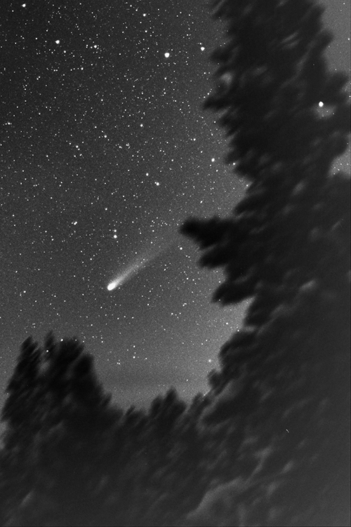 Halley's Comet