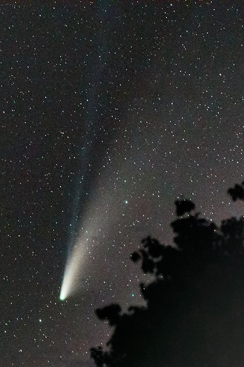 Comet Neowise